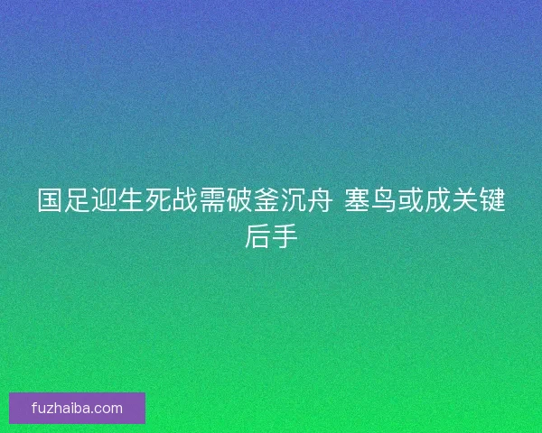 国足迎生死战需破釜沉舟 塞鸟或成关键后手